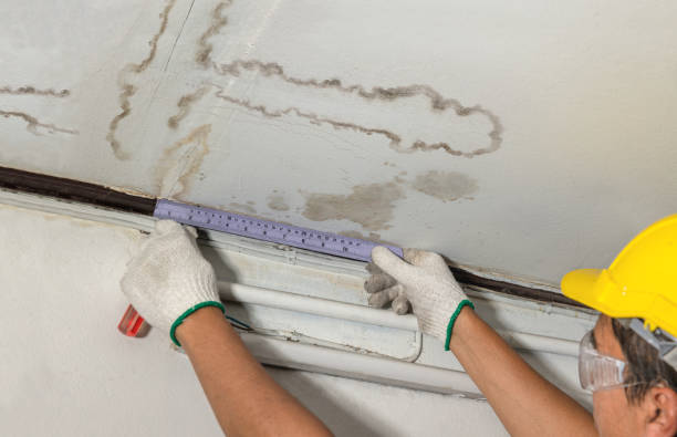 Reliable Mold Remediation contractor in Acton, MA by Water Damage Irwin